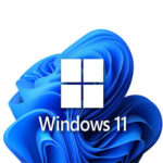 win11